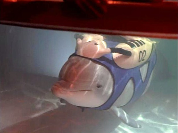 This isn't a real dolphin? So disillusioned!