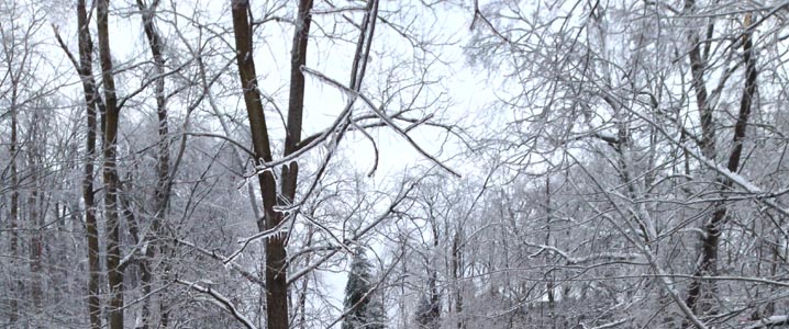 Good for the scenery, bad for the power grid